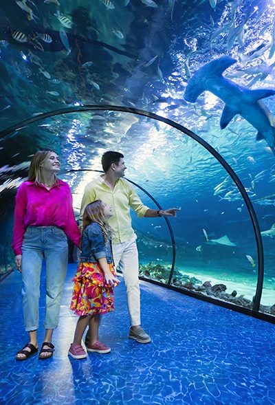 Dubai_Acquarium.jpg